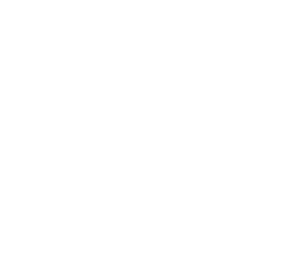 planet Icon